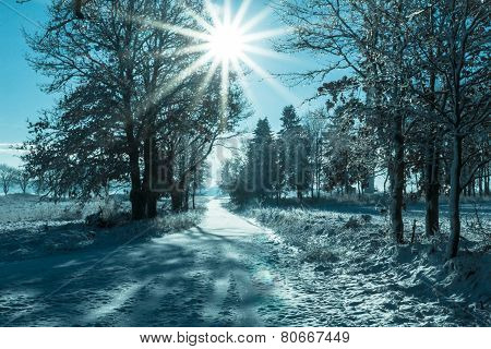 Winter Landscape View Fields Forests Covered Snow Rays Sun