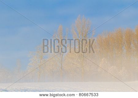 Winter Landscape View Fields Forests Covered Snow Fog
