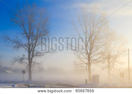 Winter Landscape View Fields Buildings Covered Snow Fog