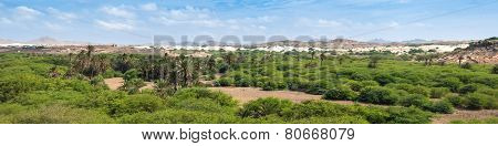 Oasis Near  Viana Desert, Boavista - Cape Verde