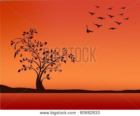 Tree In Sunset