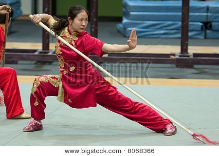 Kung Fu Heroes 2010 Italian Tour