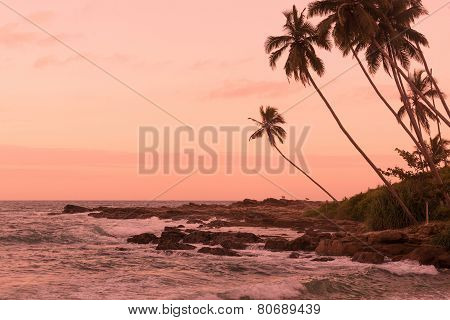 Pink Sunset Rocky Point