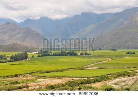 View Of Mountains In The Hex River Valley
