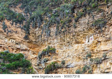 Cliff And Sarcophagi Near Chachapoyas, Peru