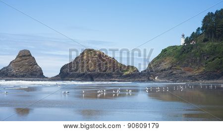 The Beach At Heceta Head