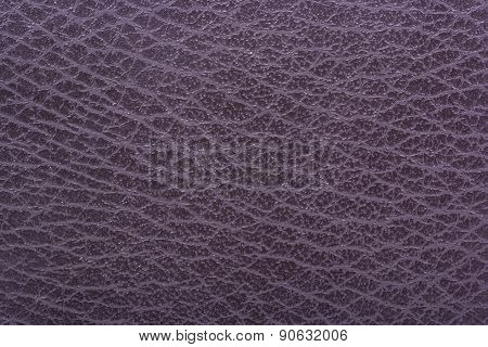 The Texture Of The Skin