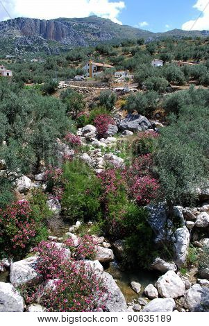 Mountain Stream, Andalusia.