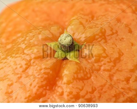 Mandarin Orange Background Very High Resolution