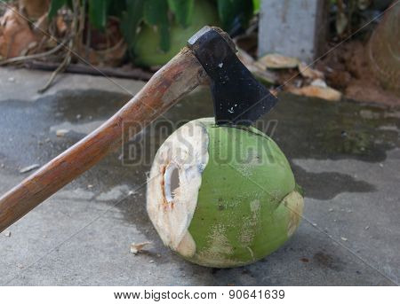 Peeling Coconut