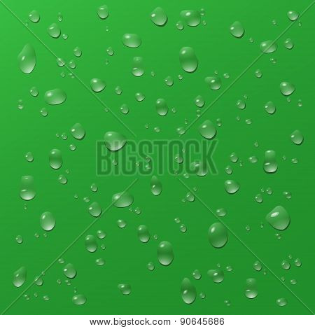 Water Drops On Green. Environemnt Friendly Background.