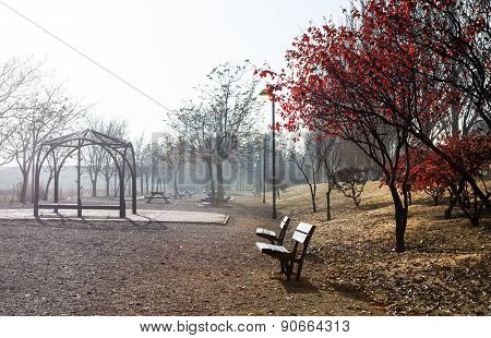 Park bench,autumn scenary