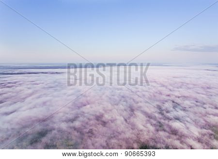 Morning Pinkish Fog