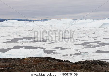 Arctic Landscape In Greenland With Icebergs