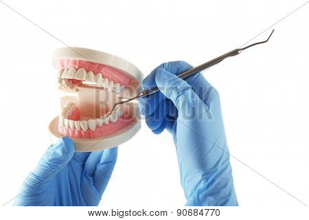 White fake teeth in hand of dentist, isolated on white