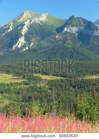Belianske Tatras in Slovakia