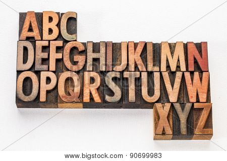 English alphabet abstract - vintage letterpress wood type printing blocks on white arr canvas