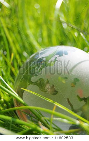 Glas Globe oder Erde im Gras