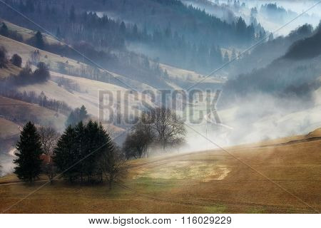 Foggy and sunny day of a autumn, on wild transylvania hills. Holbav. Romania. Low key, dark backgrou