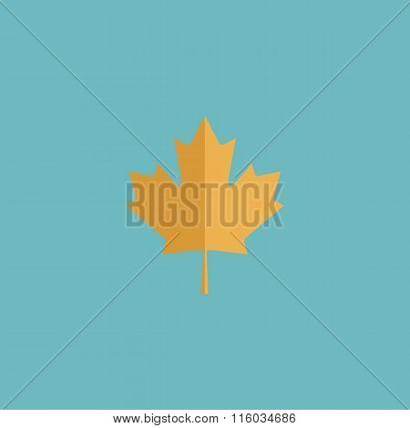 maple leaf flat icon