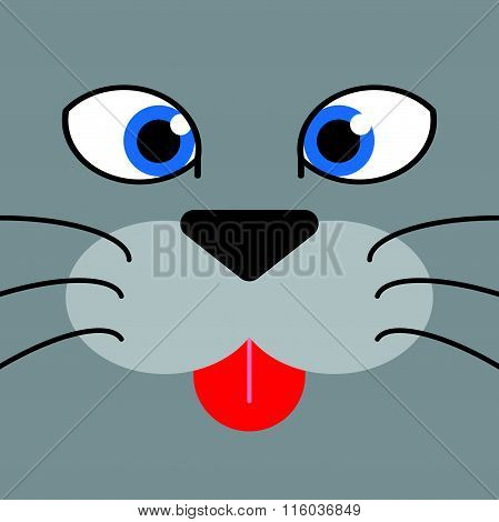 cutie cat's face
