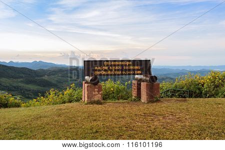 Beautiful Mountain Sunrise Nature Scene With Wild Mexican Sunflower Valley In Meahongson, Thailand.