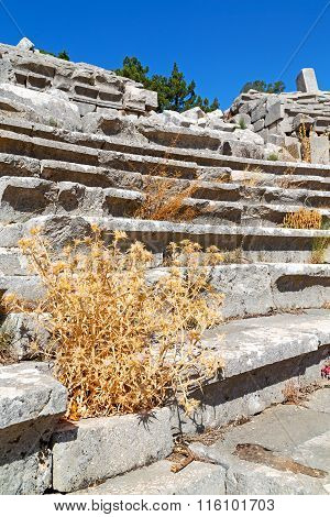The Old  Temple And Theatre In