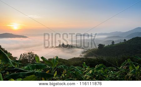 Sunrise With Sea Of Fog Above Mekong River