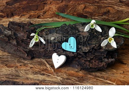 Hearts and snowdrops