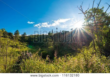 Summer Landscape In The Mountains. Green Forest