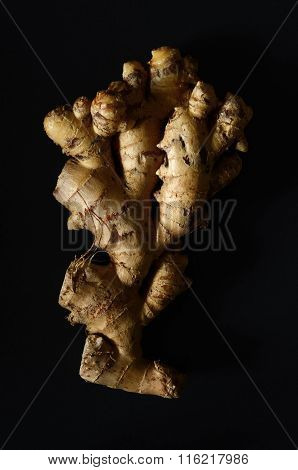 Ginger Root Closeup
