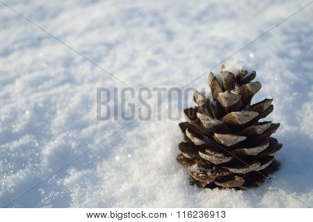 Cones