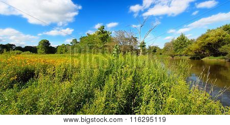 Midwest Prairie River Landscape