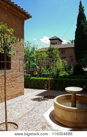Nasrid Palace gardens, Alhambra Palace.