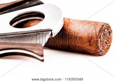 Cigar And Cutter On A White Background
