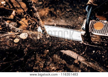 Man sawing a log in his back yard with orange saw