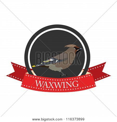 Flat Icon Waxwing