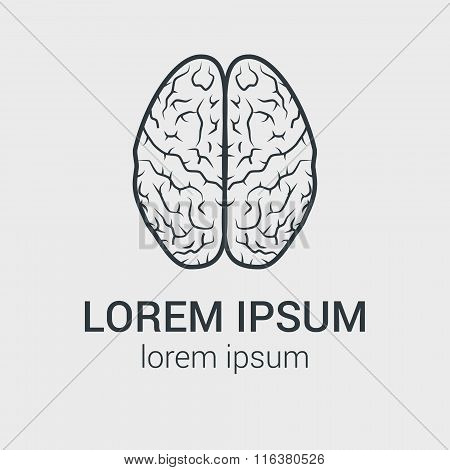 Vector outline illustration of human brain on gray background. Single logo with graphic illustration