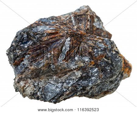 Lamprophyllite Crystals On Mineral Stone Isolated