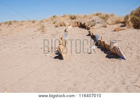 Sea Turtle Nesting Site On Zakynthos