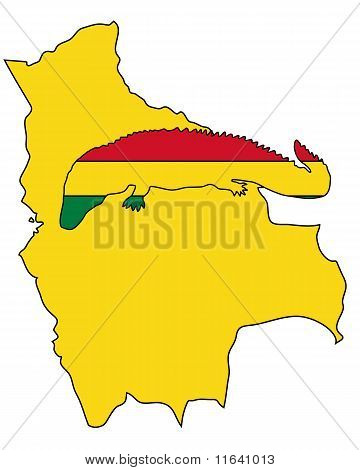 Kaiman-Bolivien