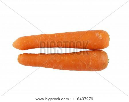 Carrot On White Background