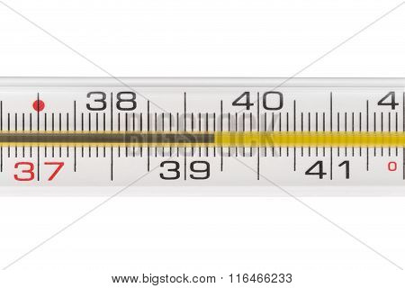 Quicksilver Thermometer