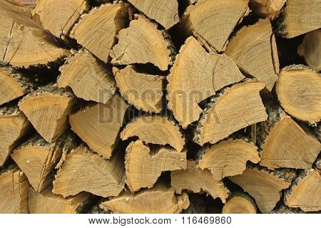 Harvested for winter firewood