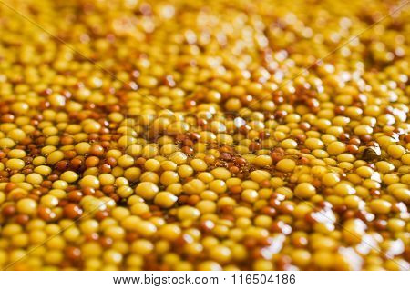 Background Of Seeds Of Mustard