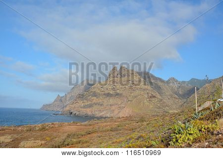 Ocean Coast's View