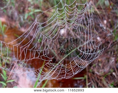 Ragnatela