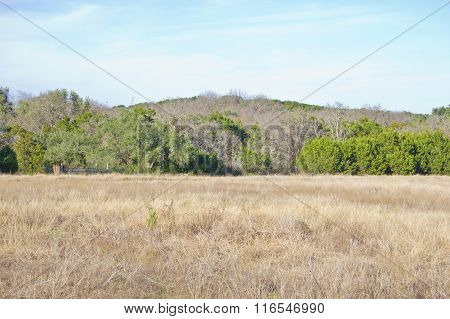 Brushy Creek Regional Trail