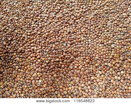 Red Quinoa Vegetables