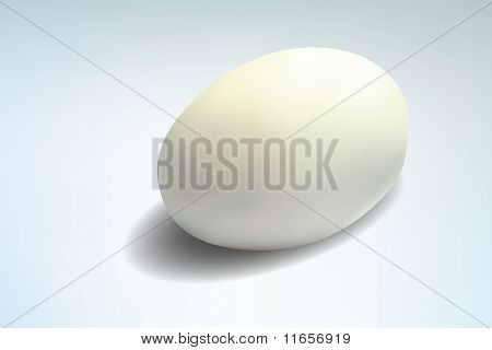 계란